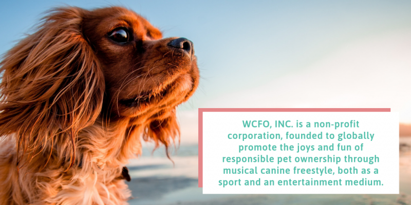 WCFO, INC. is a non-profit corporation, founded to globally promote the joys and fun of responsible pet ownership through musical canine freestyle, both as a sport and an entertainment medium. king charles dog
