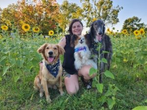 Two dogs, a woman, and sunflowers